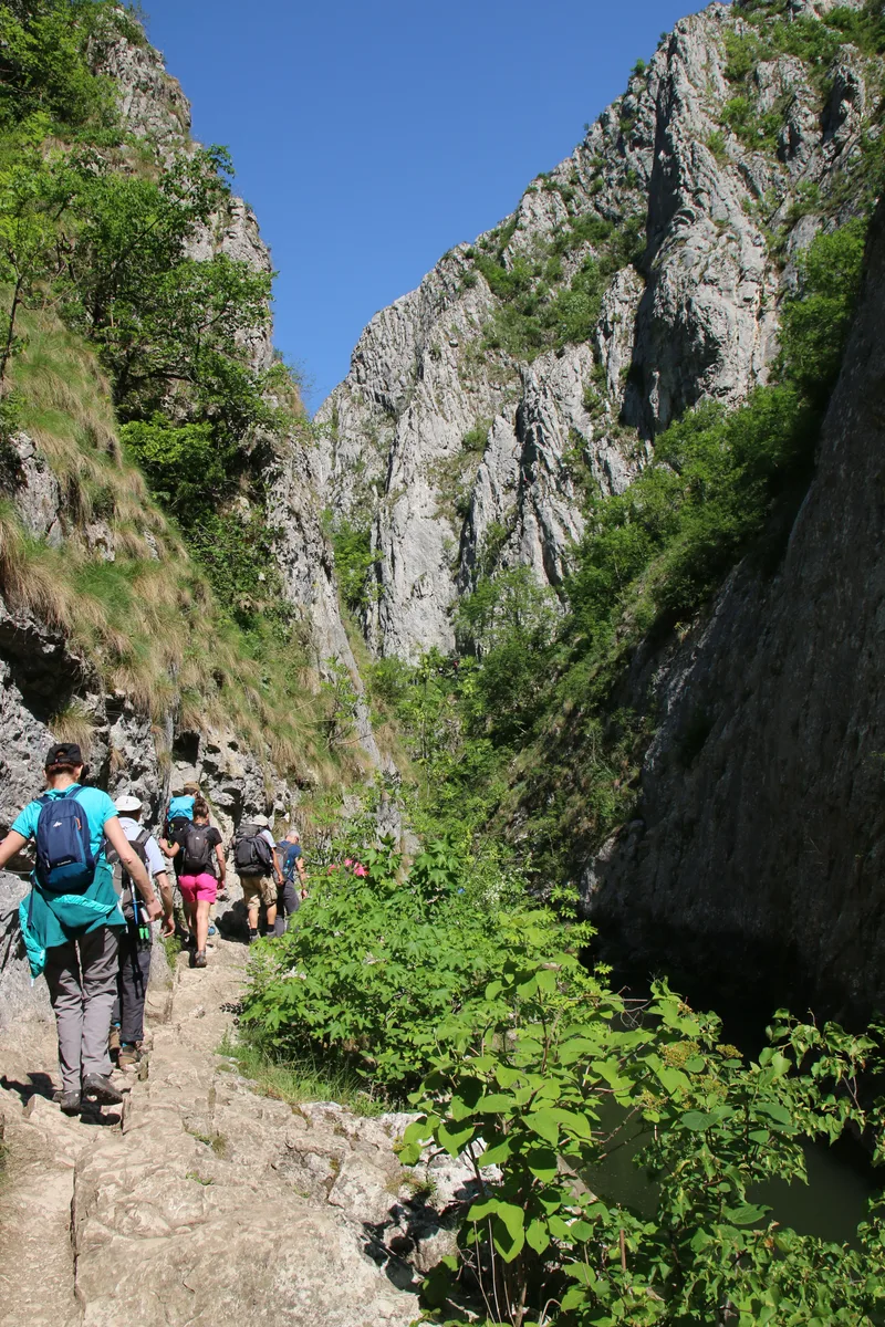 Randonnées en Transylvanie — 12 jours