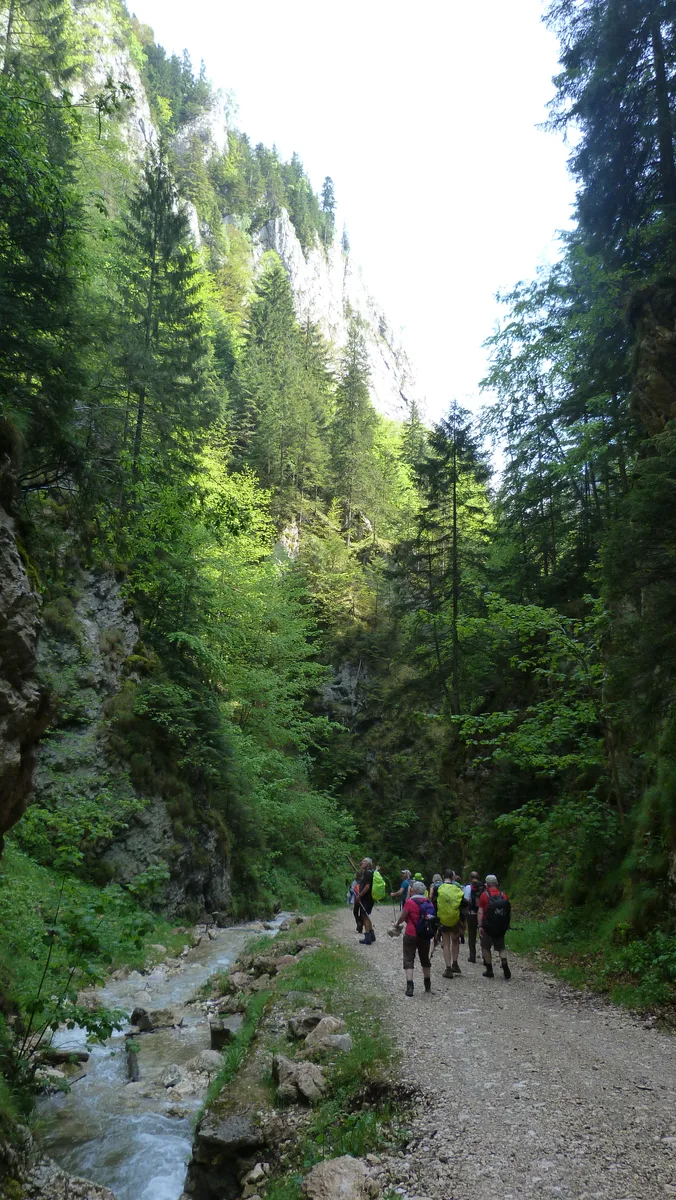 Randonnées en Transylvanie