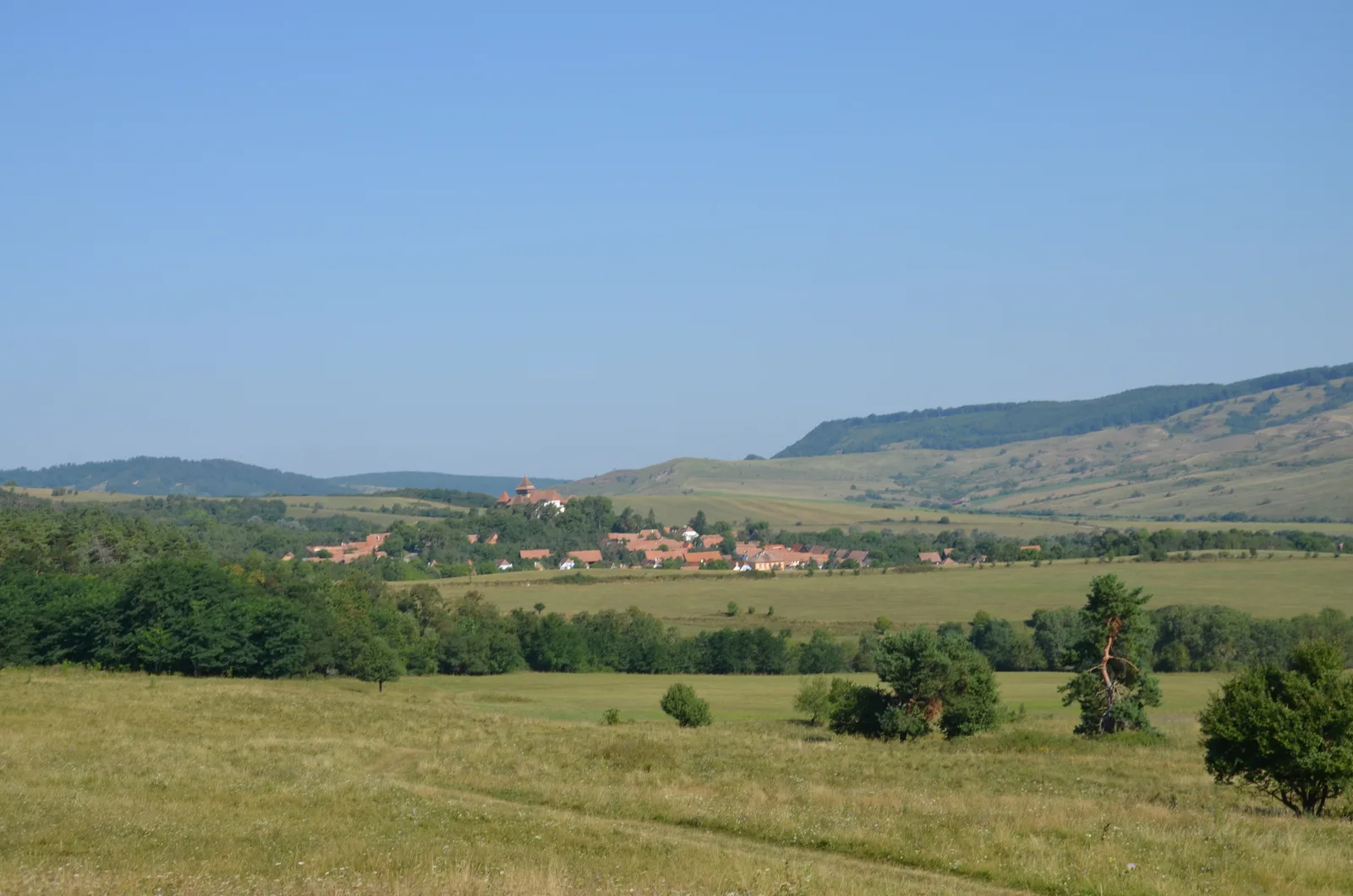 Randonnées en Transylvanie